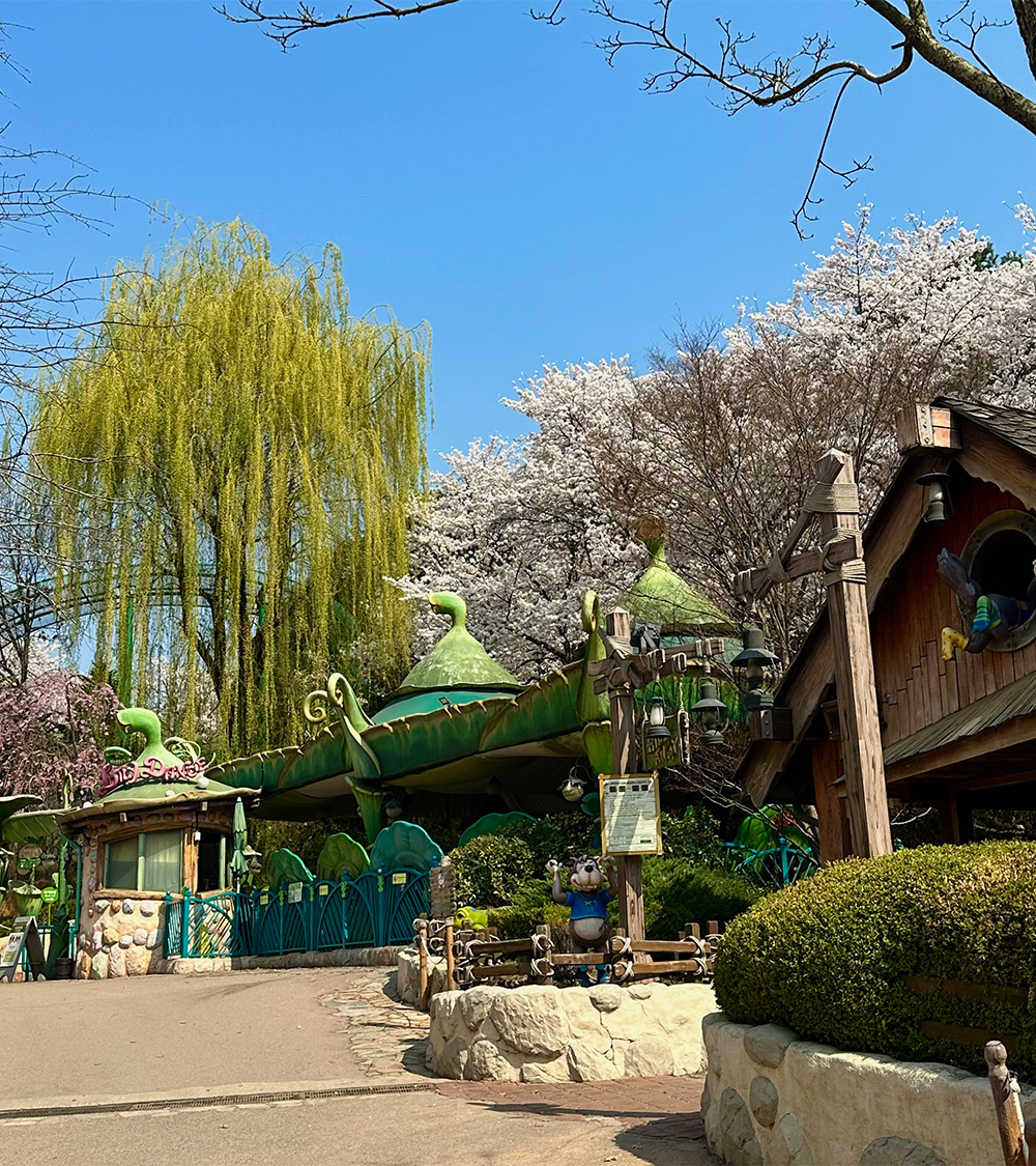 SEOUL - JEJU - CAMELLIA HILL - EVERLAND