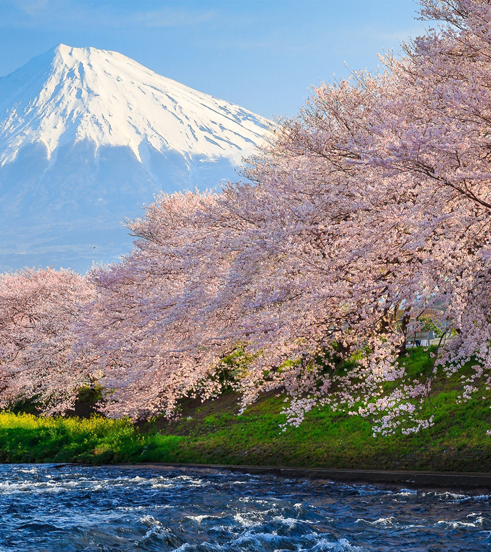 OSAKA - NARA - KYOTO - NÚI PHÚ SĨ - TOKYO