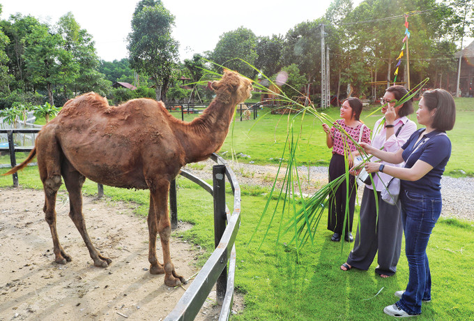 THÀNH XƯƠNG GIANG - ĐỀN THỜ HOÀNG HOA THÁM - KDL BẢN VEN XANH