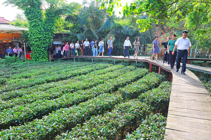 THÀNH XƯƠNG GIANG - LÀNG NGHỀ BÁNH ĐA KẾ - CHÙA VĨNH NGHIÊM - ĐỀN BÀ CHÚA THEN - KDL BẢN VEN XANH - ĐỀN HOÀNG HOA THÁM - CHÙA BỔ ĐÀ