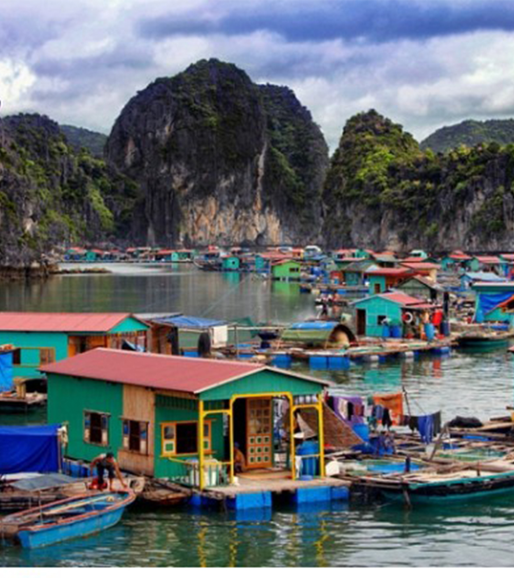 CÁT BÀ - VỊNH LAN HẠ - VƯỜN QUỐC GIA