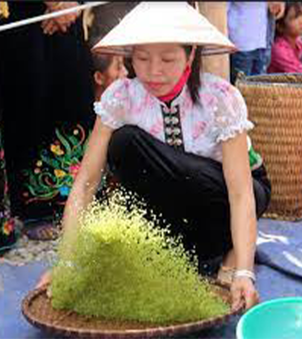 TÚ LỆ - MÙ CANG CHẢI - SUỐI KHOẢNG NÓNG NGỌC CHIẾN