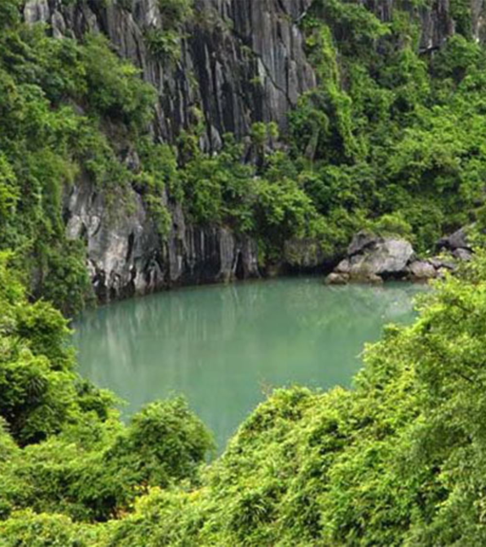 CÁT BÀ - VỊNH LAN HẠ - VƯỜN QUỐC GIA