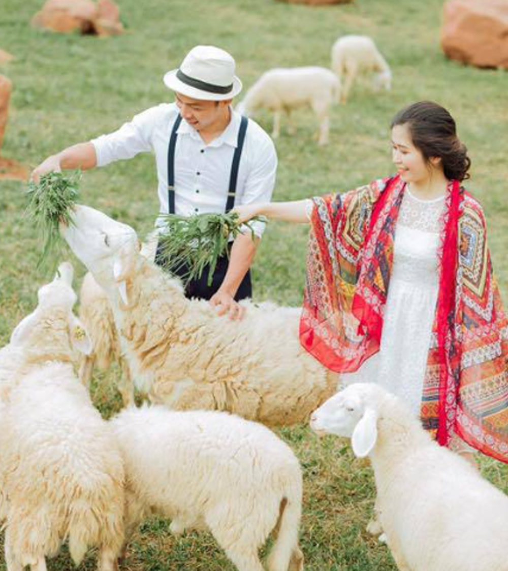 SAPA - ĐIỆN BIÊN - MỘC CHÂU - MAI CHÂU