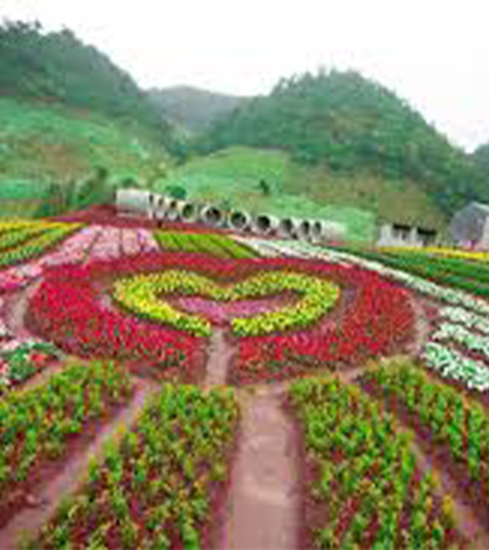 MỘC CHÂU - TÀ XÙA