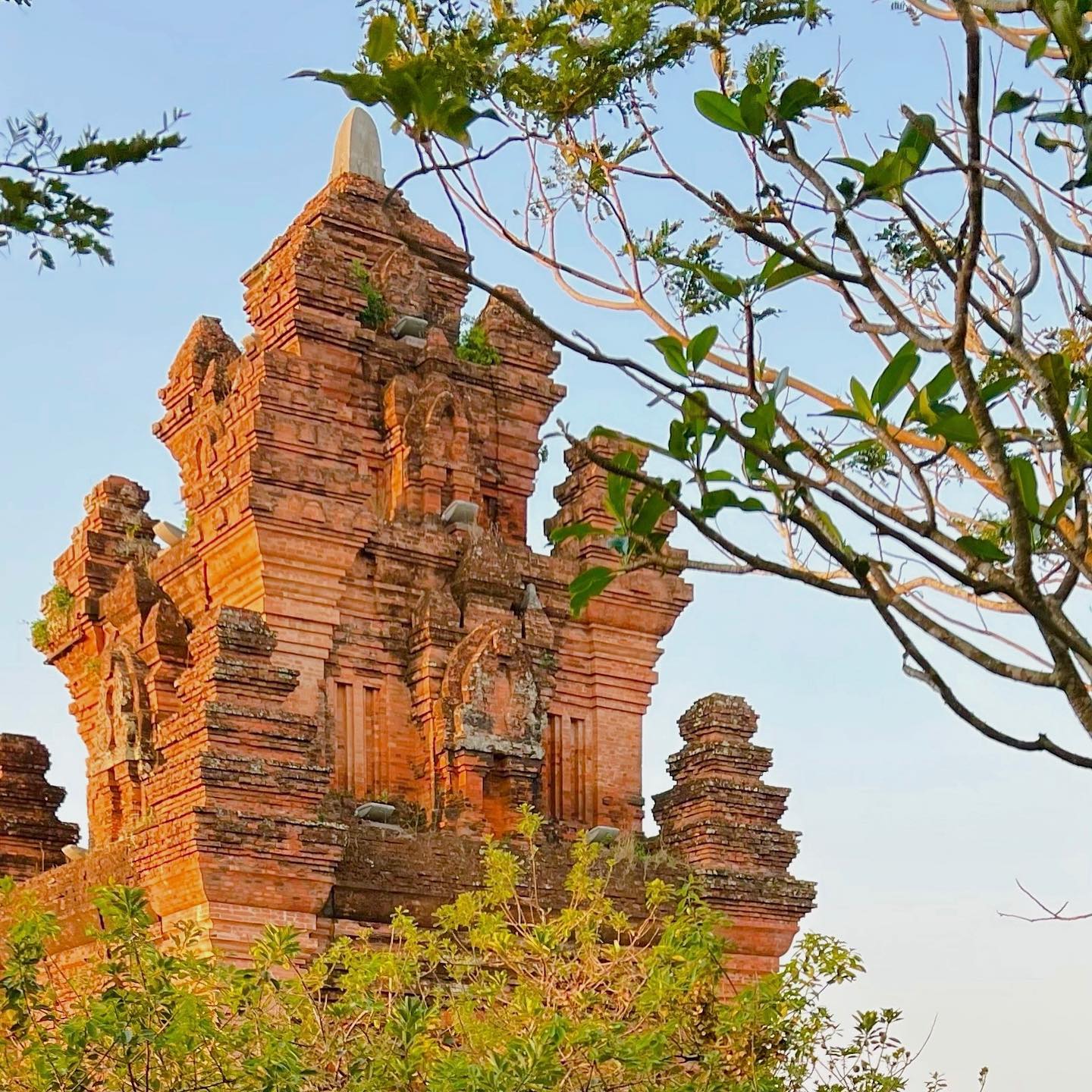 QUY NHƠN - TUY HÒA