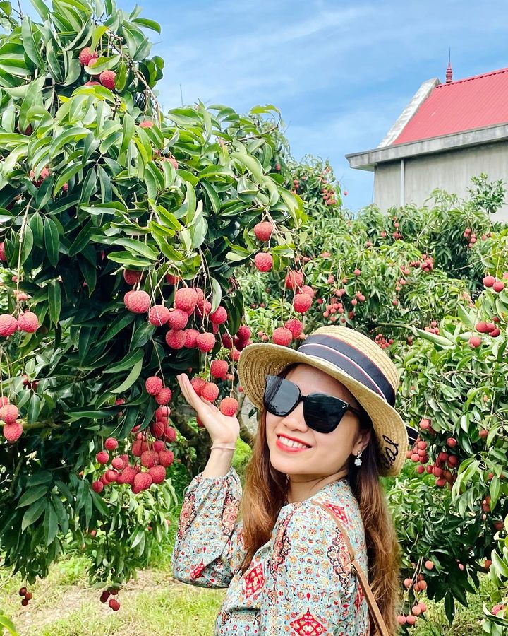 BẮC GIANG - VỀ MIỀN TRÁI NGỌT