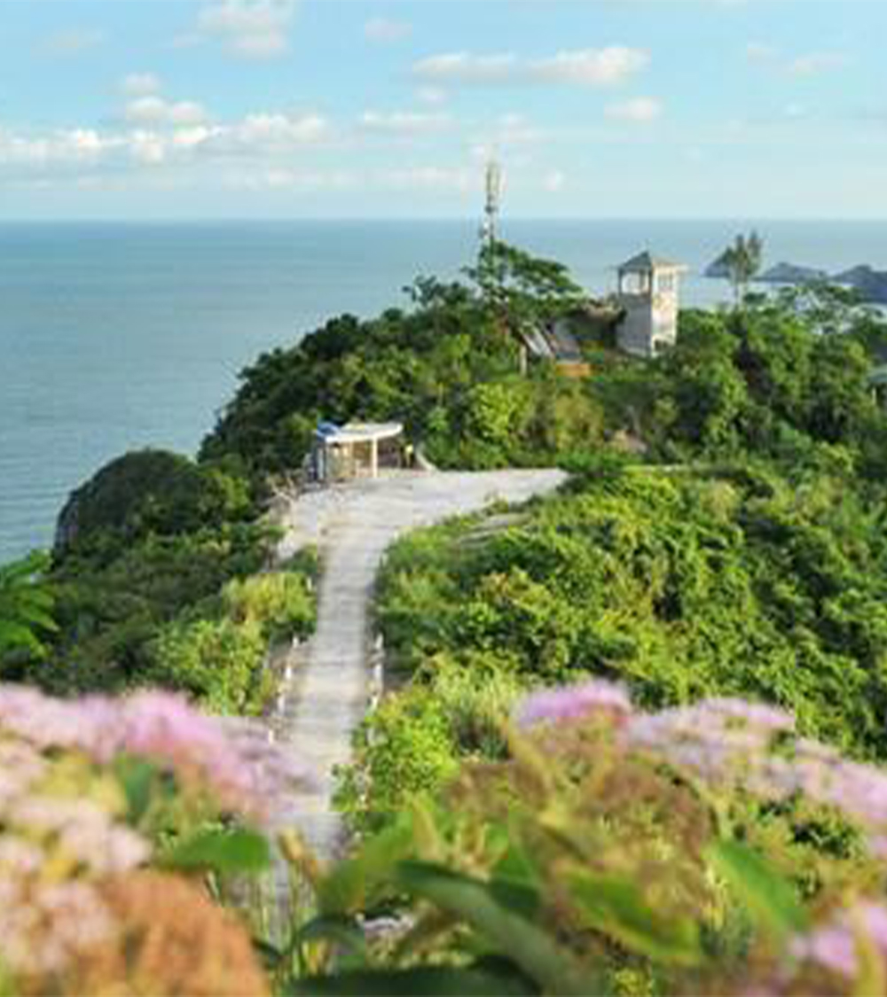 CÁT BÀ - VỊNH LAN HẠ - VƯỜN QUỐC GIA