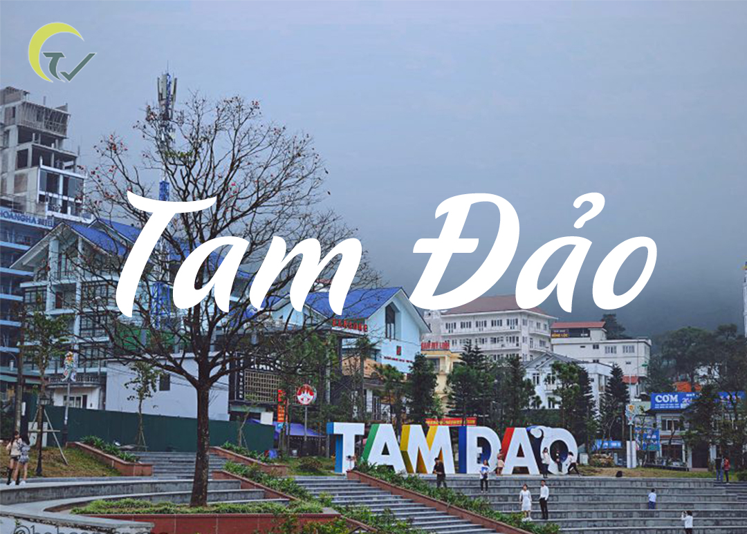 TAM ĐẢO