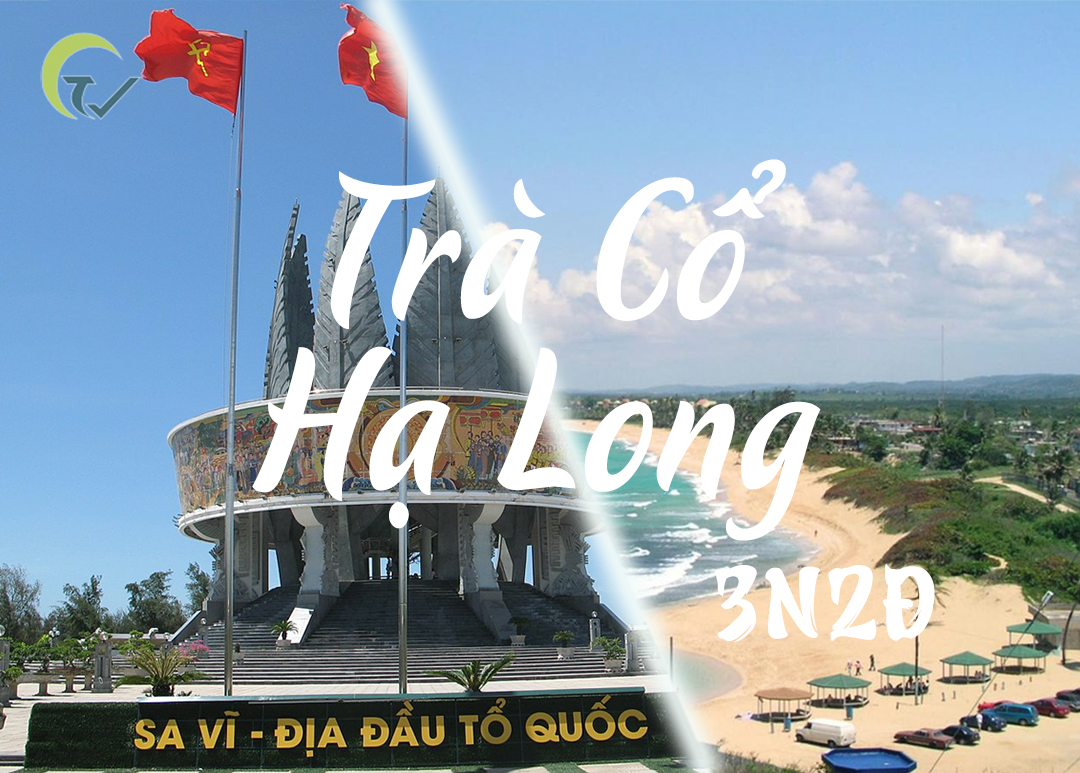 TRÀ CỔ - HẠ LONG