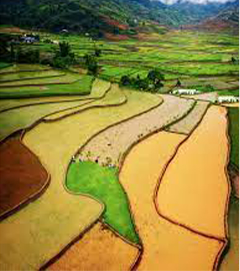 TÚ LỆ - MÙ CANG CHẢI - SUỐI KHOẢNG NÓNG NGỌC CHIẾN