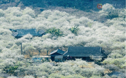 Tour Mộc Châu – Nà Ka – Thác Dải Yếm 2 ngày 1 đêm