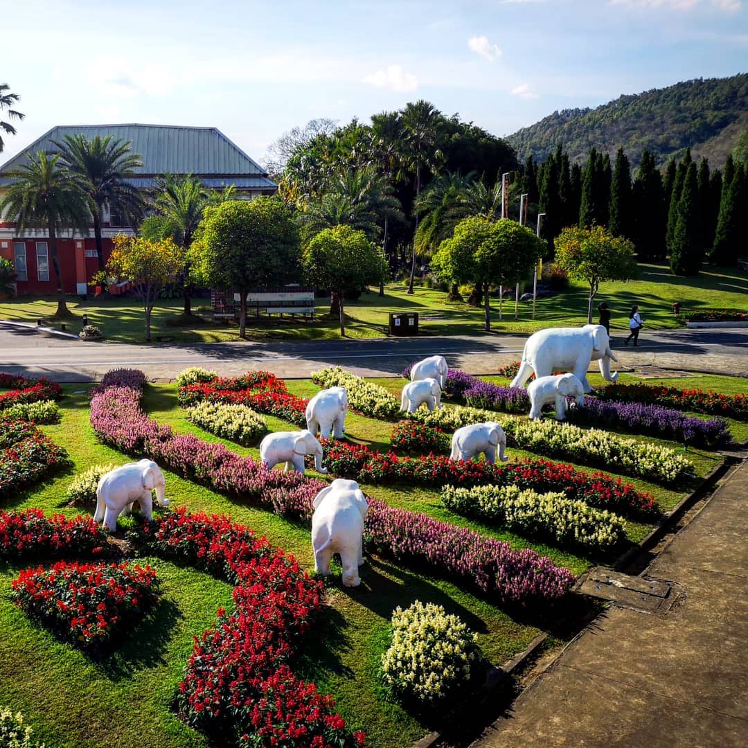 CHIANG MAI - CHIANG RAI