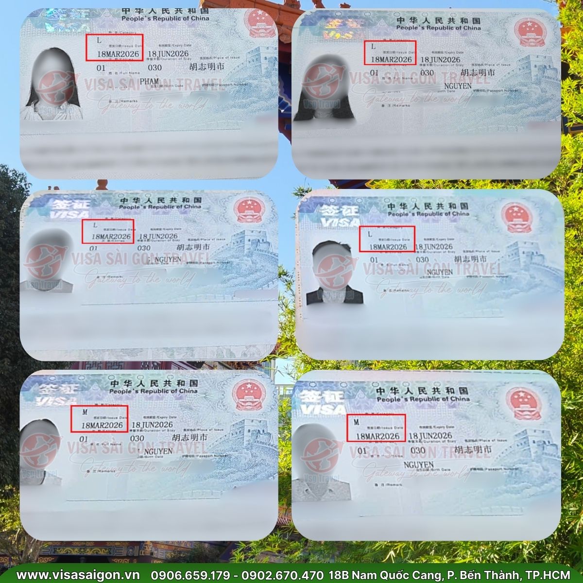 🌸 HÀNH TRÌNH RỰC RỠ: 43 VISA TRUNG QUỐC ĐÃ CHÍNH THỨC TÌM ĐƯỢC CHỦ NHÂN! 🌸