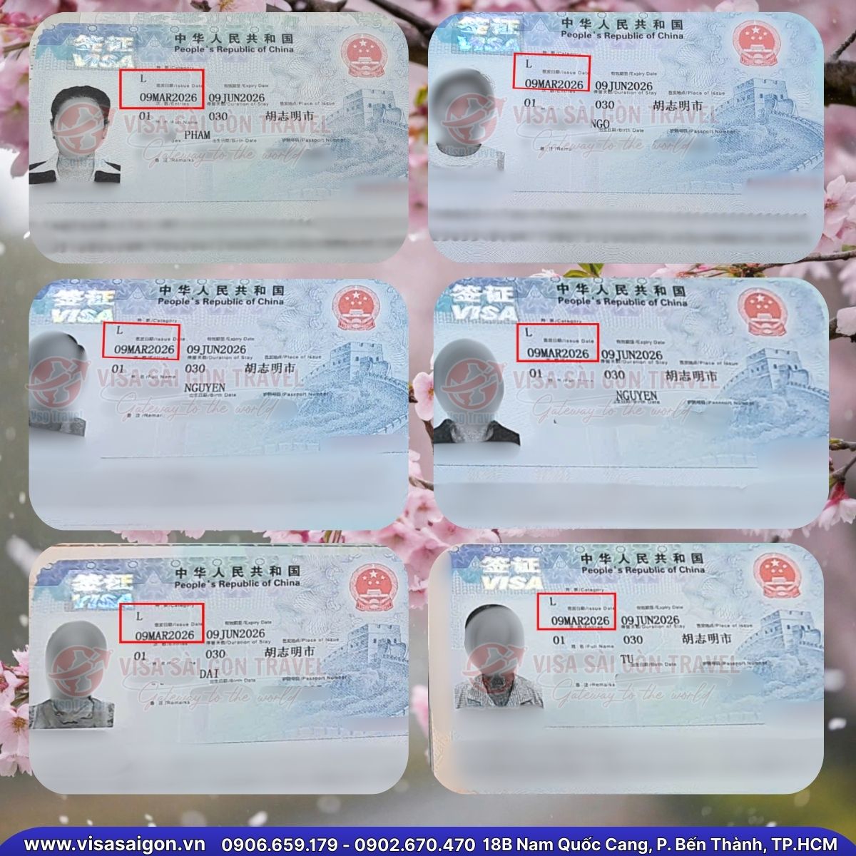 🌸 CÁNH CỬA TRUNG HOA RỘNG MỞ: CHÚC MỪNG 37 TẤM VISA ĐÃ TÌM ĐƯỢC CHỦ NHÂN CỦA MÌNH! 🌸