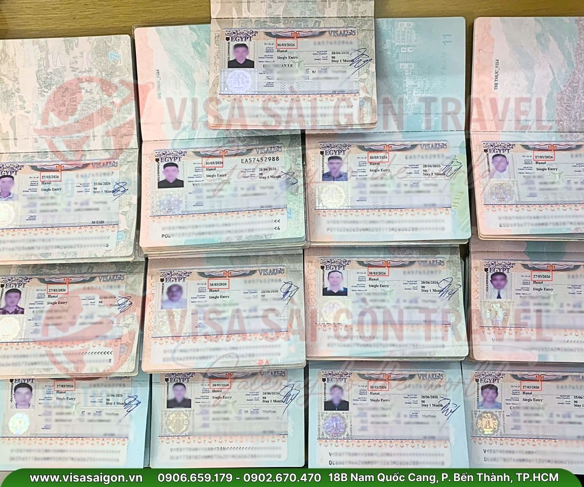 🏜️ CHẠM TAY VÀO HUYỀN THOẠI: 25 VISA AI CẬP CHÍNH THỨC CẬP BẾN! 🏜️