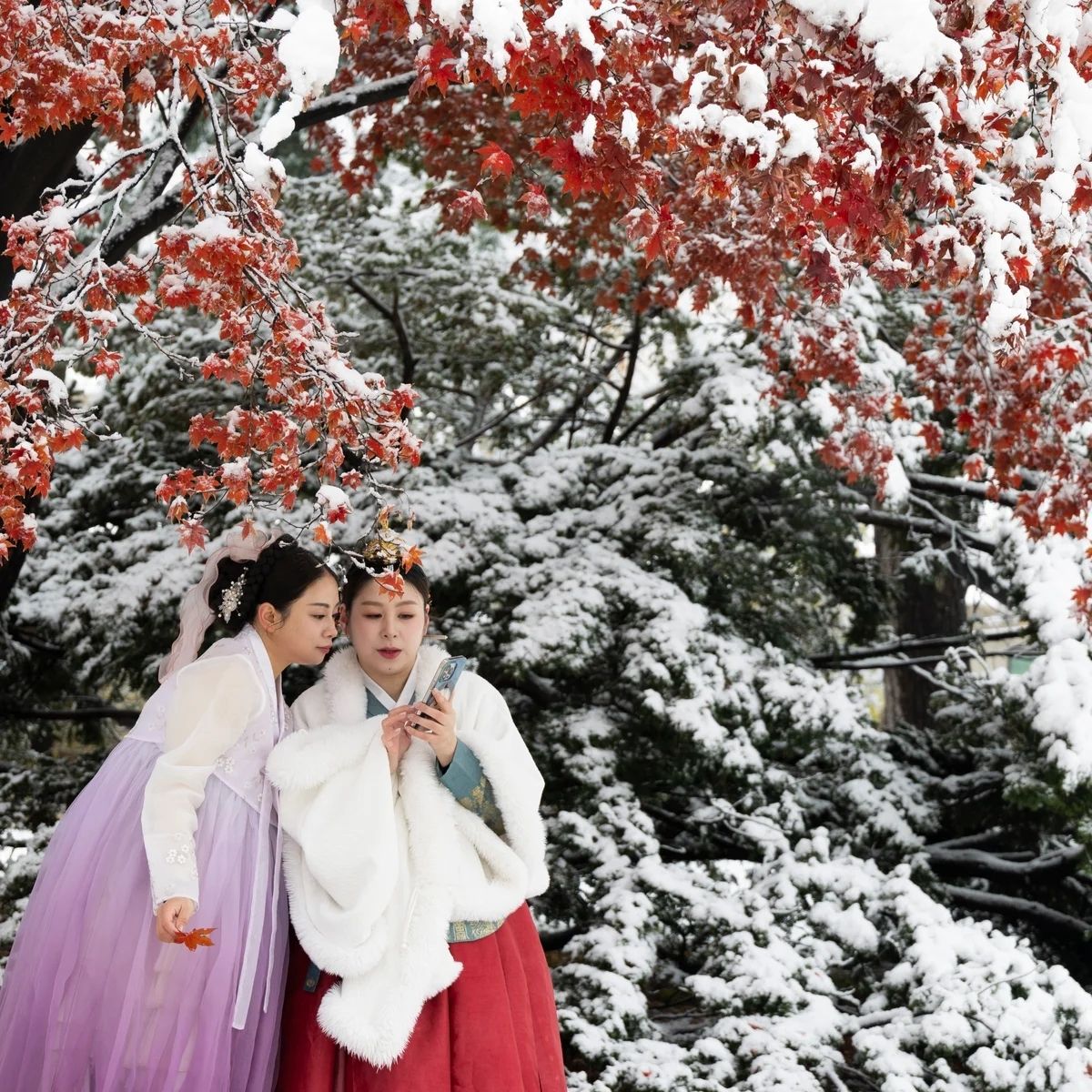 ĐÓN TUYẾT CÙNG CHIẾC VISA HÀN QUỐC VỀ CUỐI NGÀY!