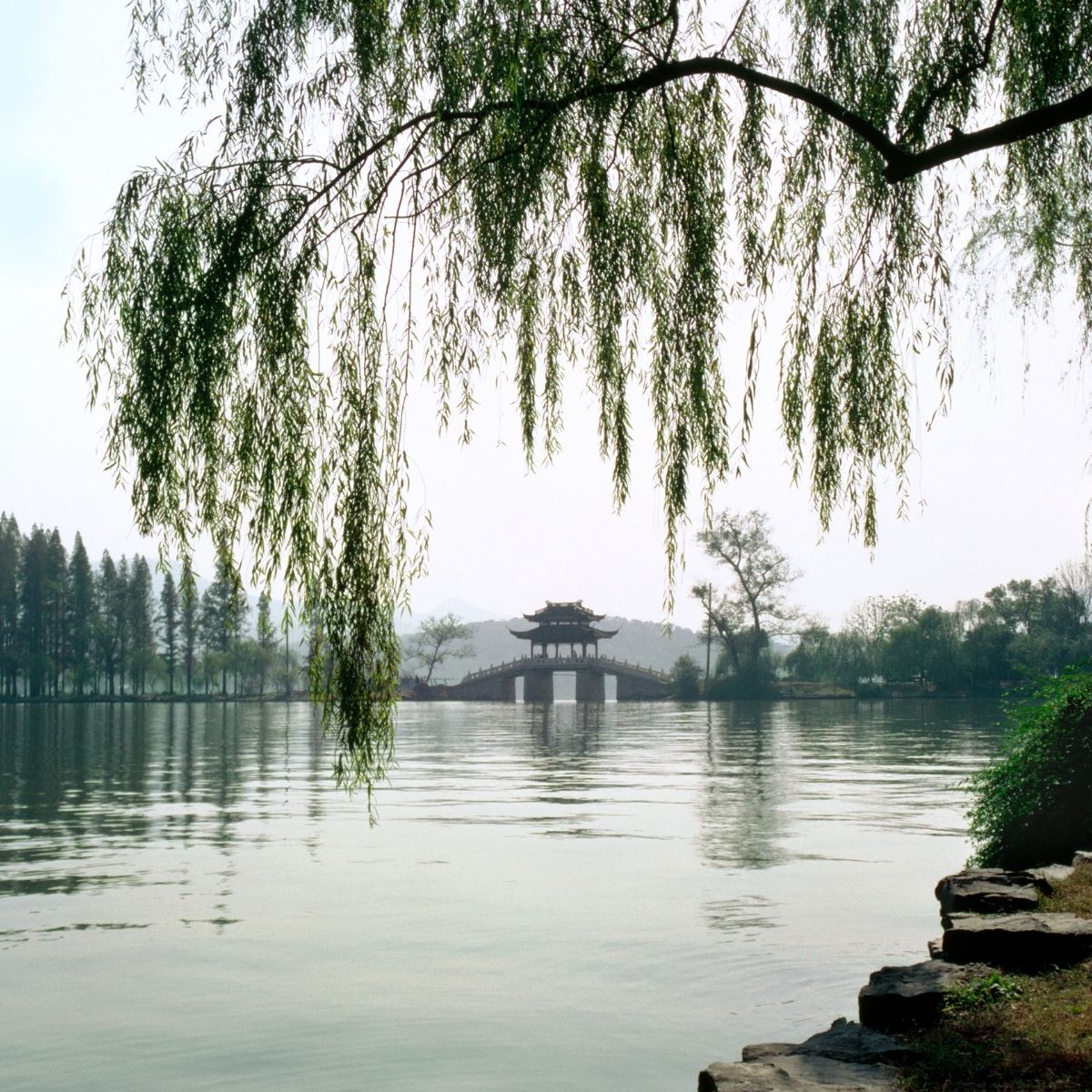 🌸 KHAI MỞ MÙA LỄ HỘI: 32 VISA TRUNG QUỐC CHÍNH THỨC "VƯỢT ẢI" THÀNH CÔNG! 🌸