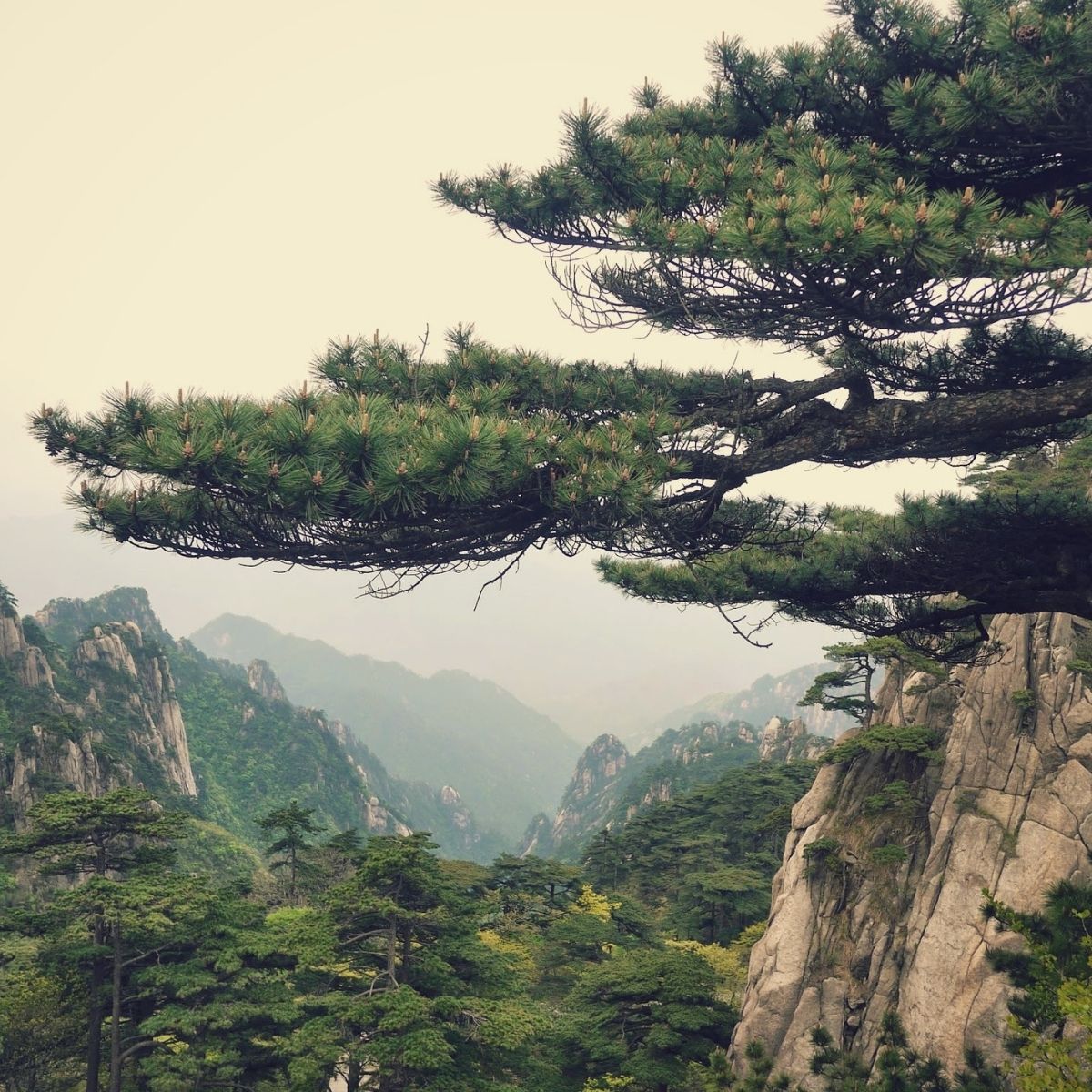 ⛰️ CHẠM BƯỚC THIÊN NHIÊN KỲ VĨ: CHÚC MỪNG VISA TRUNG QUỐC ĐÃ SẴN SÀNG TRÊN TAY! ⛰️