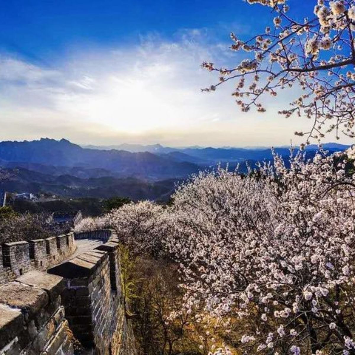 🚀 CHÀO TUẦN MỚI THÁNG 1: LỘ DIỆN 48 VỊ CHỦ NHÂN VISA TRUNG QUỐC "VỀ ĐÍCH" THÀNH CÔNG! 🏮