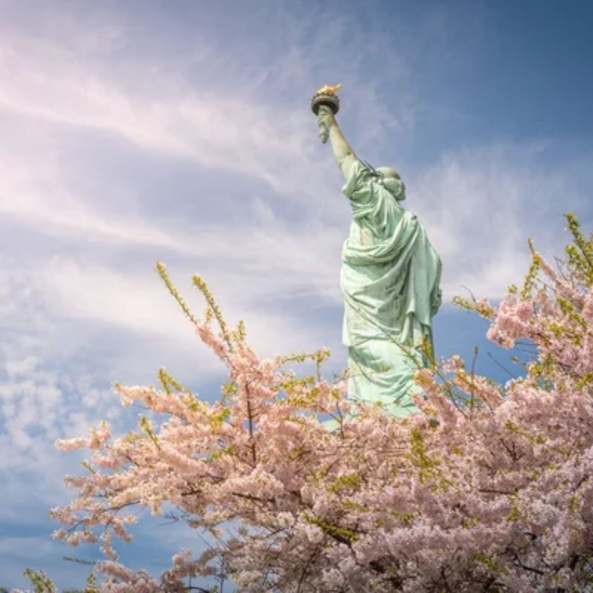 KHAI MỞ NĂM MỚI RỰC RỠ: CHÚC MỪNG 1 VISA MỸ CHÍNH THỨC "CẬP BẾN"!