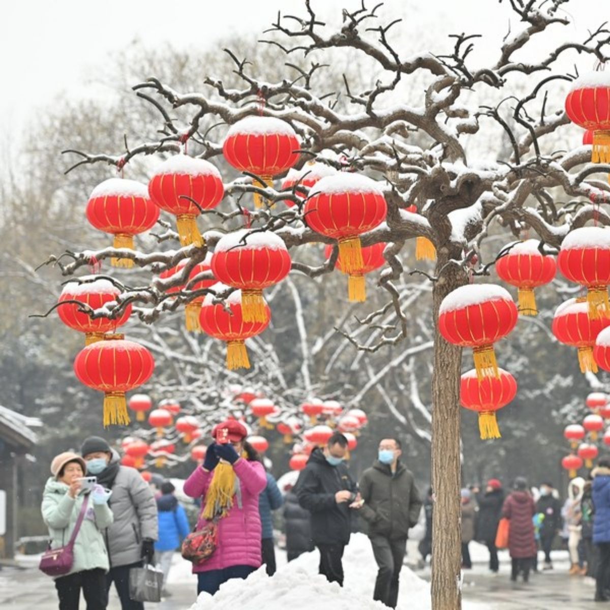 🎊 CHÚC MỪNG 23 KHÁCH ĐẬU VISA TRUNG QUỐC - SẴN SÀNG CHO CHUYẾN DU LỊCH CUỐI NĂM! 🧧