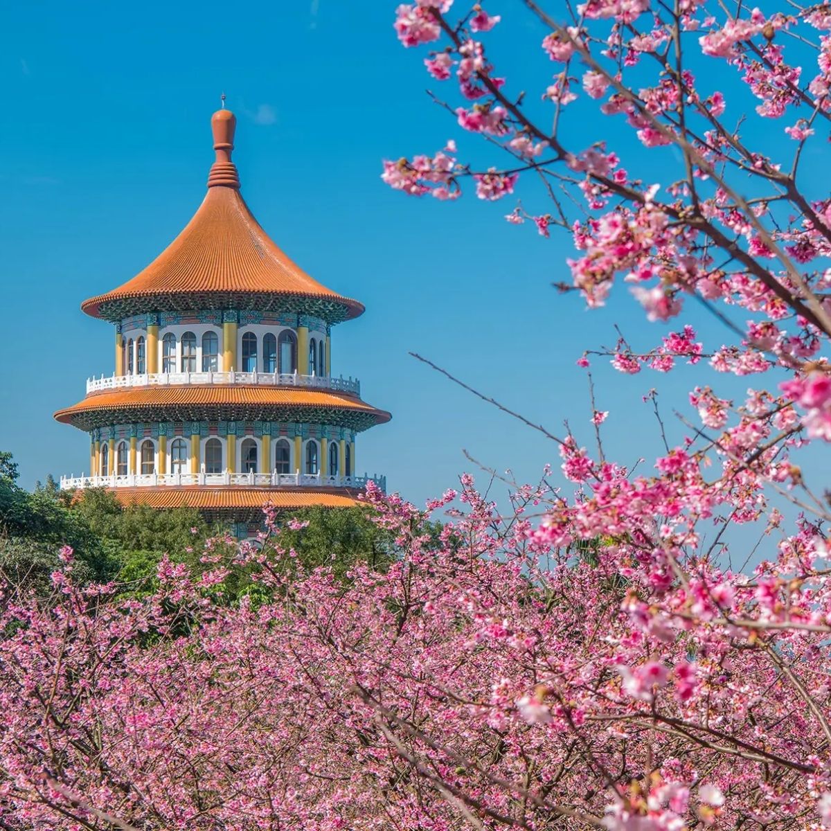 CHU DU ĐẾN ĐÀI LOAN CÙNG 3 CHIẾC VISA THÀNH CÔNG VƯỢT ẢI!