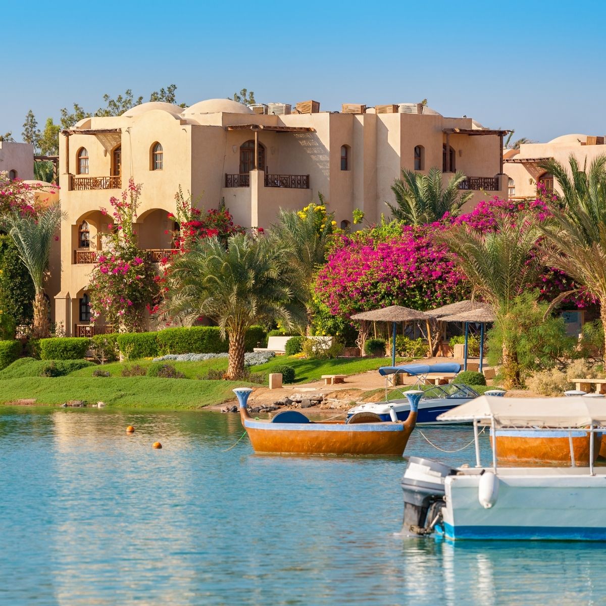 🏜️ CHẠM TAY VÀO HUYỀN THOẠI: 25 VISA AI CẬP CHÍNH THỨC CẬP BẾN! 🏜️