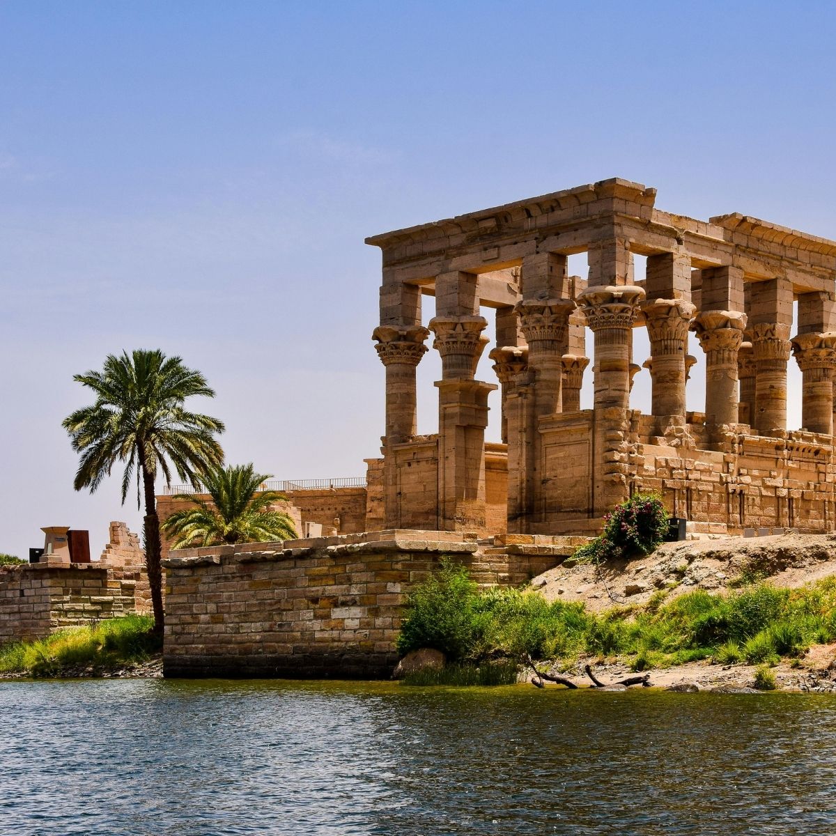 🏛️ CHINH PHỤC VÙNG ĐẤT PHARAOH VÀ KIM TỰ THÁP: CHÚC MỪNG TẤM VISA AI CẬP CÔNG TÁC ĐÃ VỀ TAY!