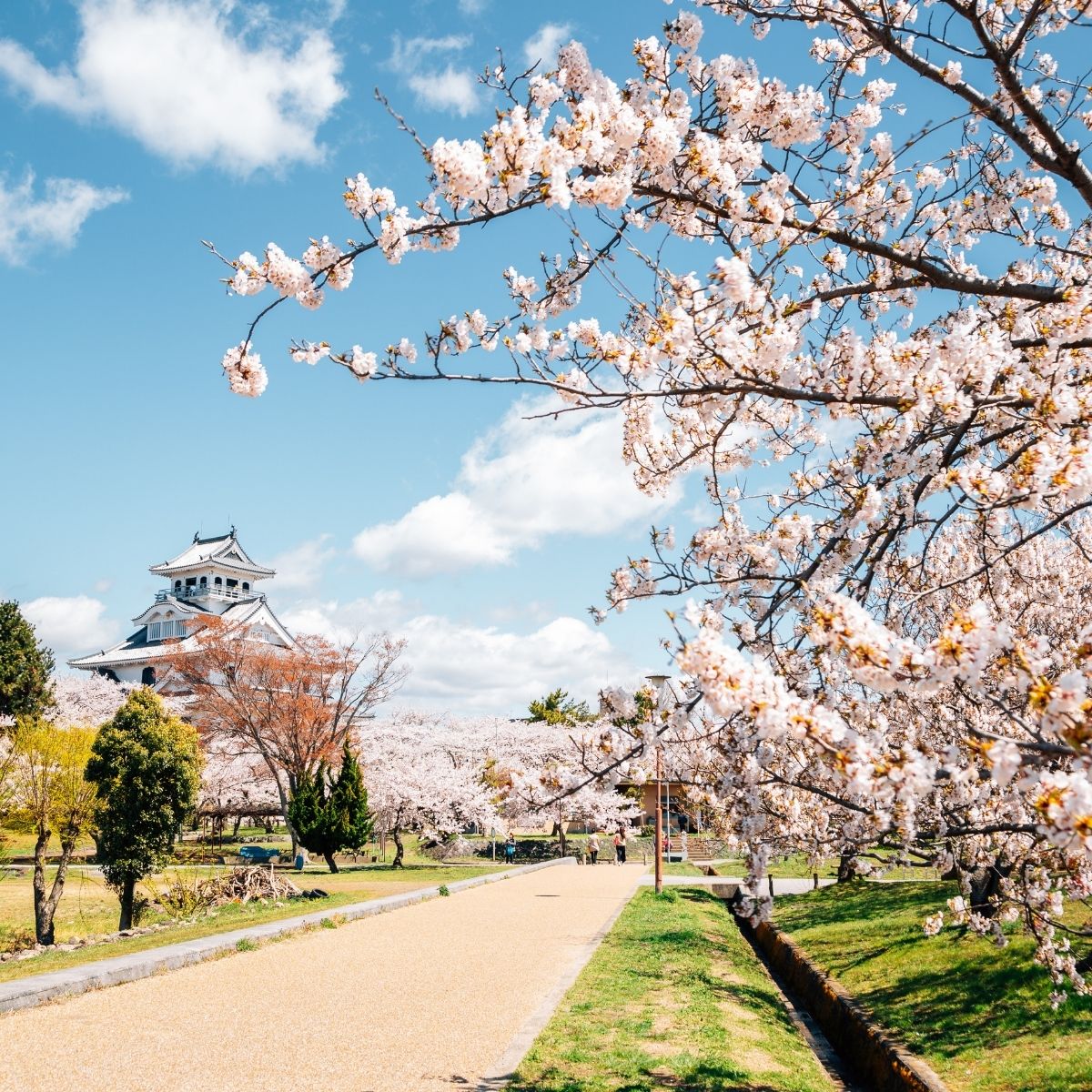 🎡 CAO HÙNG VẪY GỌI: TẤM VISA ĐÀI LOAN ĐẦU TIÊN ĐÃ CẬP BẾN XUÂN 2026! 🌸