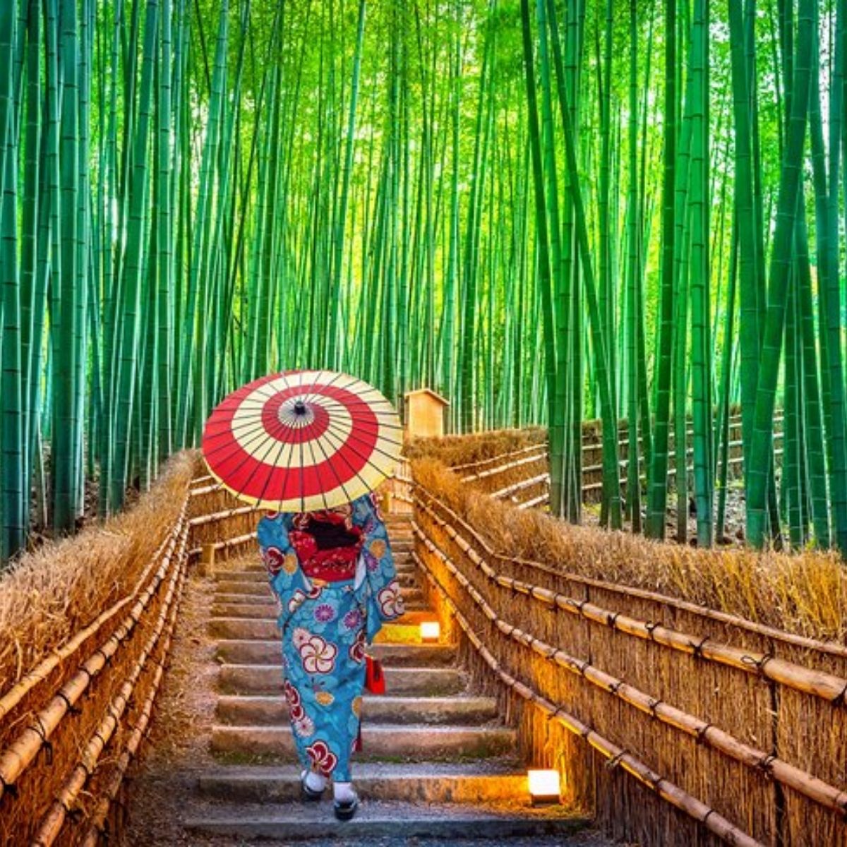 CHÀO NGÀY THỨ 7 CUỐI TUẦN CÙNG CHIẾC VISA NHẬT BẢN SIÊU XỊN XÒ!