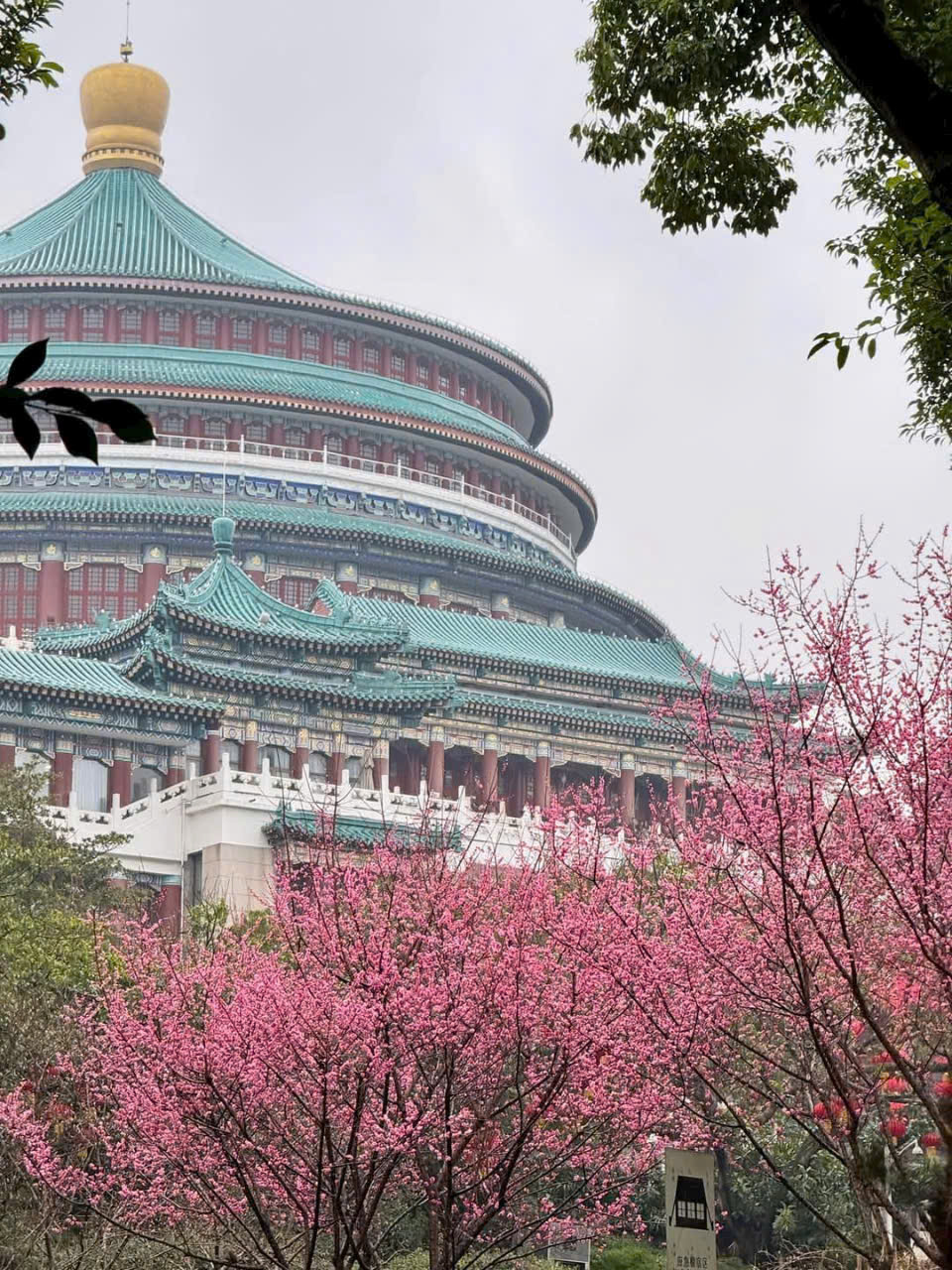 Kinh nghiệm du Lịch Trung quốc Đầu Năm 2025