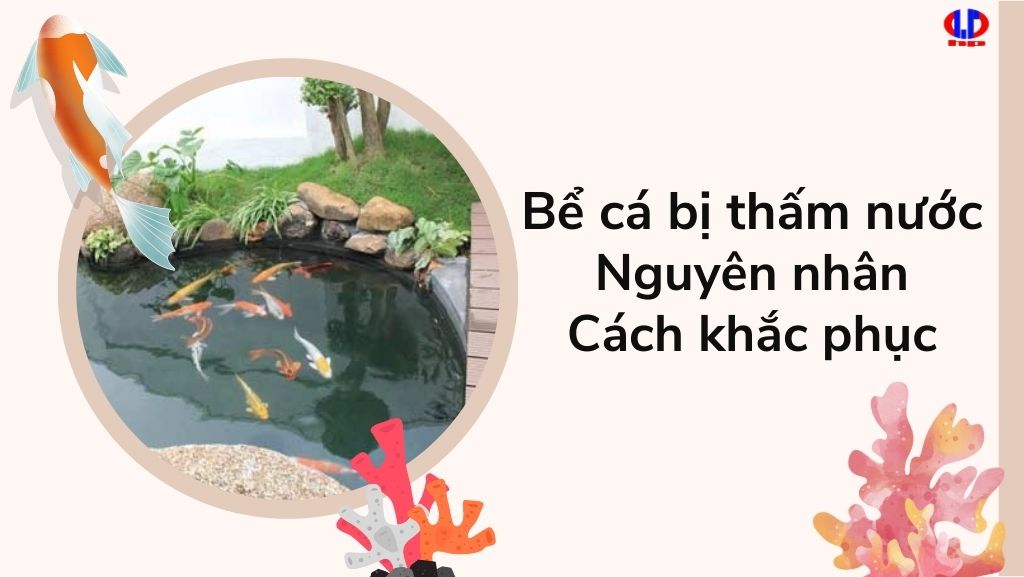 Nguyên nhân khiến bể cá bị thấm nước và cách khắc phục kịp thời