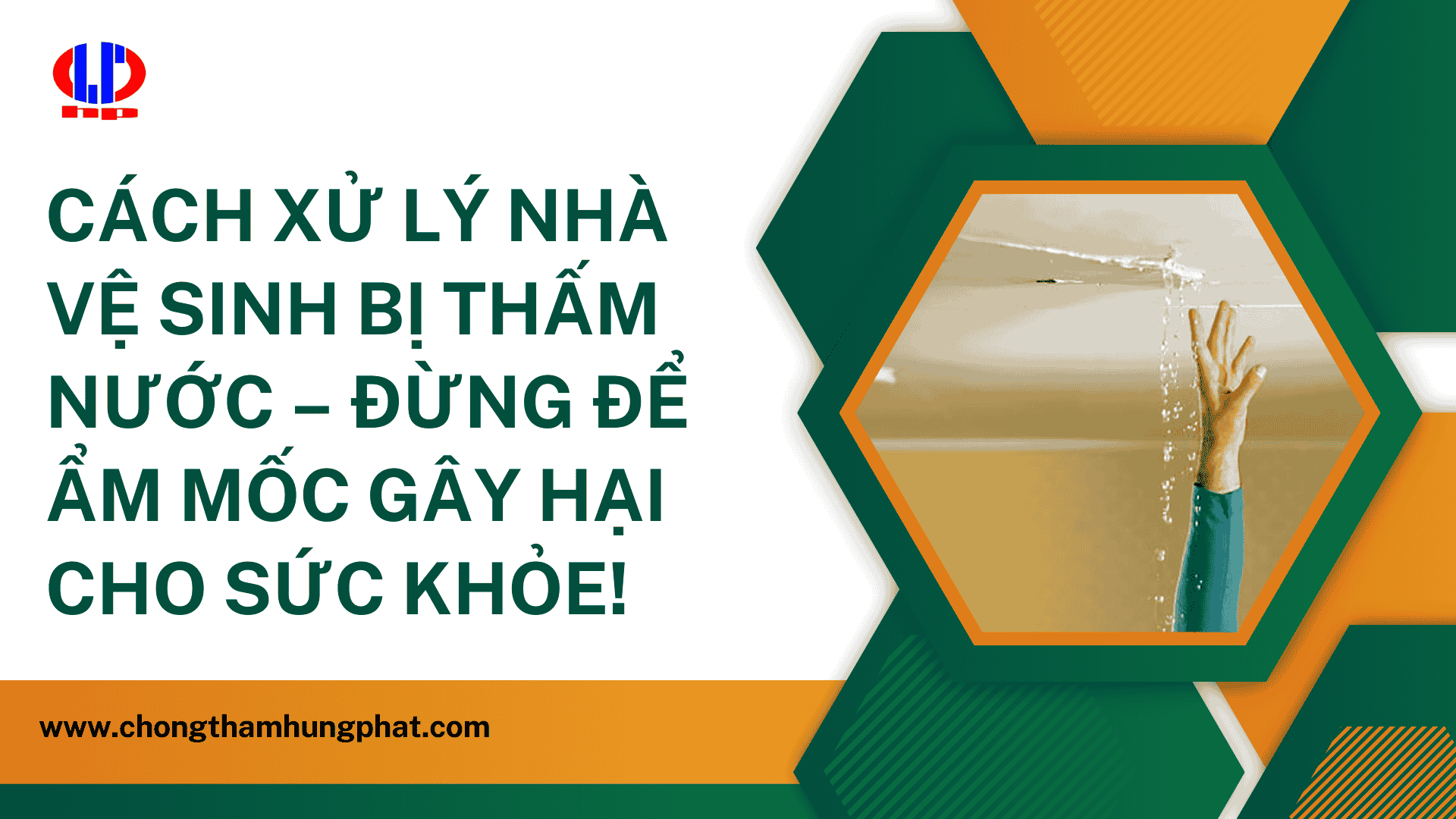 Cách xử lý nhà vệ sinh bị thấm nước – Đừng để ẩm mốc gây hại cho sức khỏe!