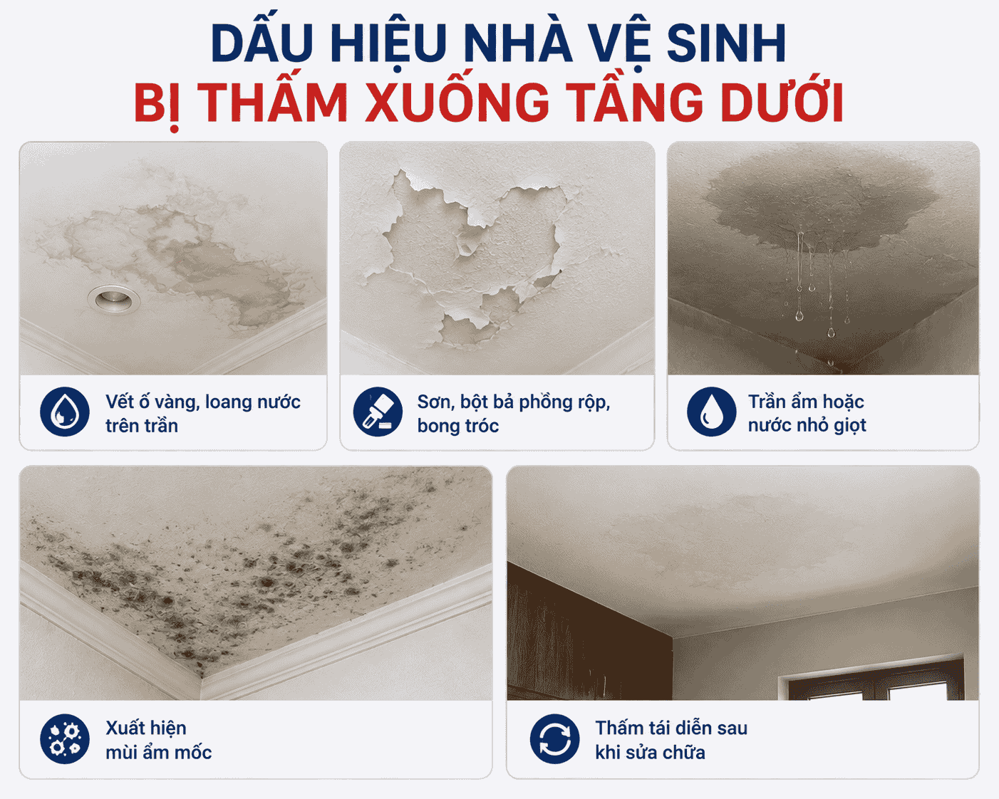 Nhà Vệ Sinh Bị Thấm Xuống Tầng Dưới: Nguyên Nhân Và Cách Khắc Phục