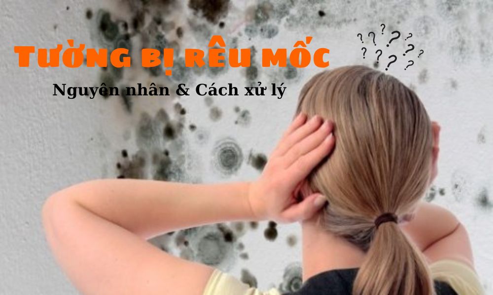 Nguyên nhân và cách xử lý tường bị rêu mốc ngay tại nhà