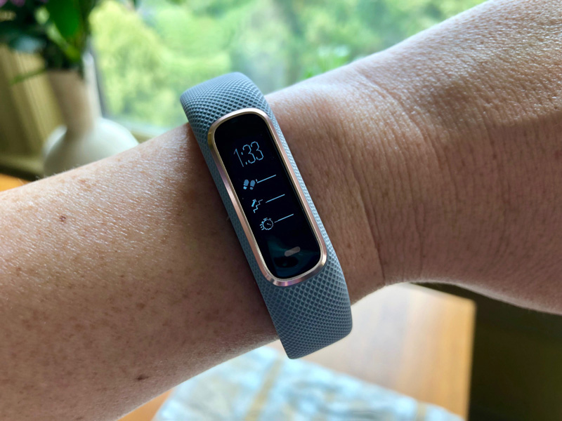 fitbit charge vs garmin vivosmart 3