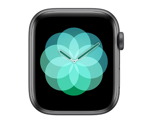 Change the watch face on your Apple Watch  Apple Support