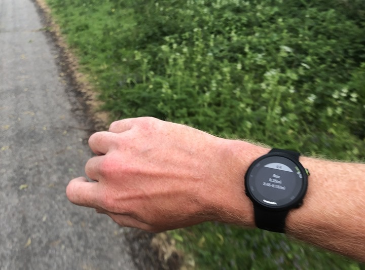 Đồng hồ Garmin Forerunner 45