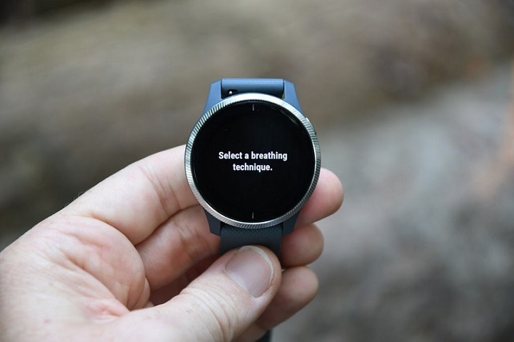 Đồng hồ thông minh Garmin Venu