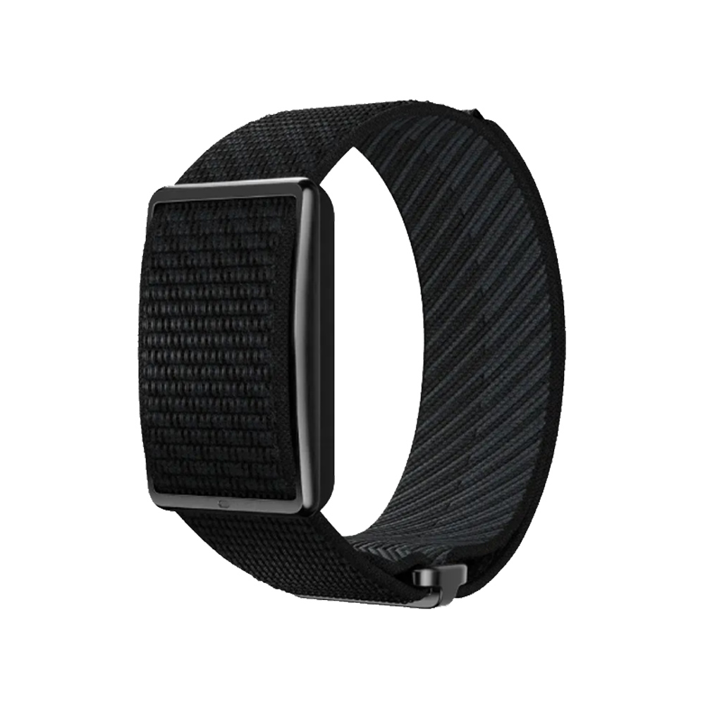 Polar Loop ( New Version 2025)