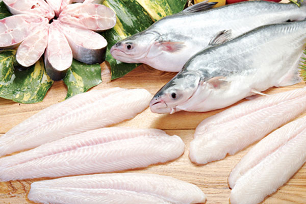 Dịch Vụ Vận Chuyển Hàng Cá Ba Sa Xuất Khẩu Bằng Đường Bộ