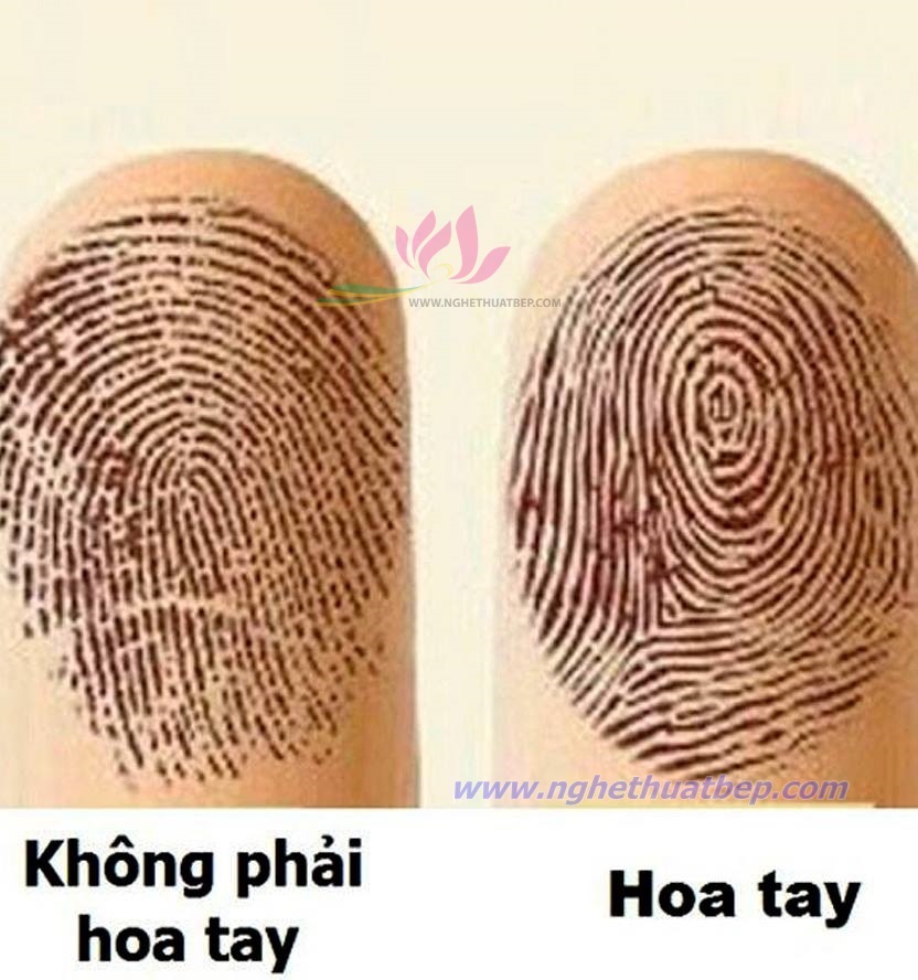Xem Vận Mệnh Tốt Hay Xấu Của Mỗi Người Từ Số Lượng Hoa Tay Của Mình