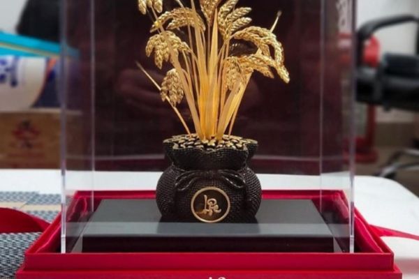 Chậu hoa lúa tài lộc mạ vàng