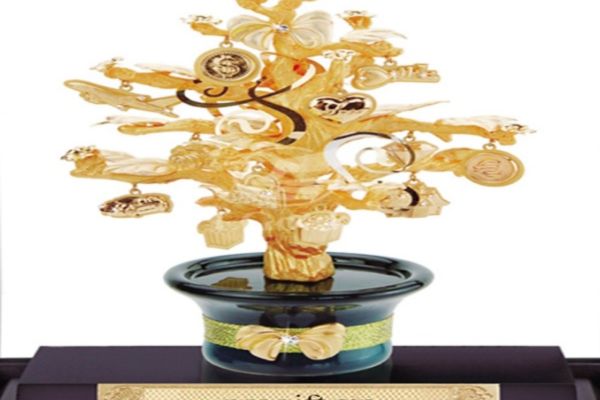 Chậu cây tiền mạ vàng