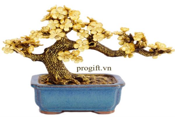 Chậu bonsai hoa mai mạ vàng