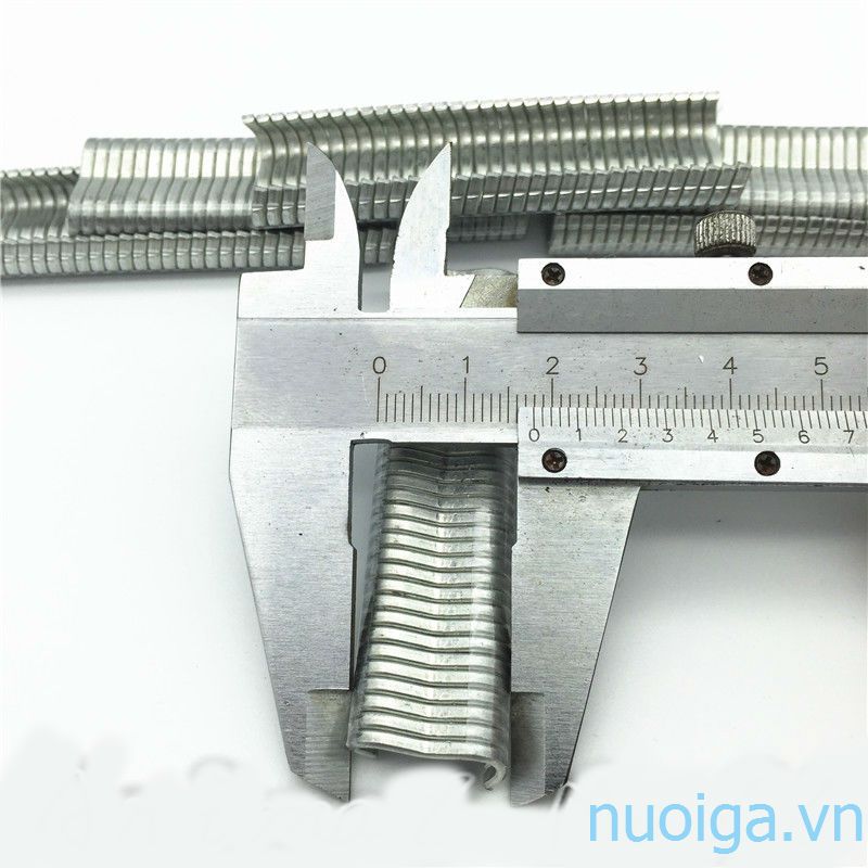 gim lồng chim bồ câu