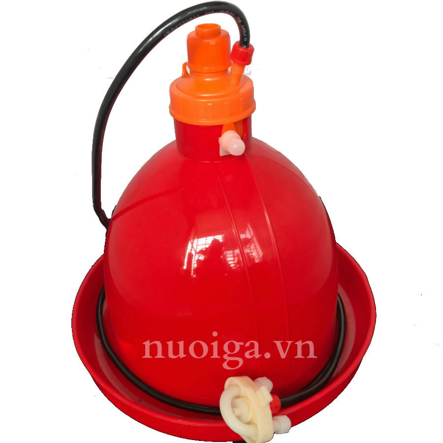 Máng uống nước tự đông cho gà Giải pháp tiện lợi và hiệu quả trong nuôi gà công nghiệp