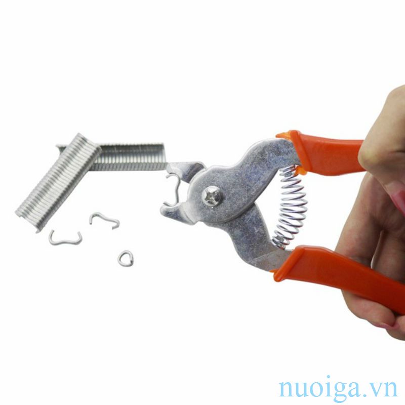 kìm kẹp chuồng bồ câu