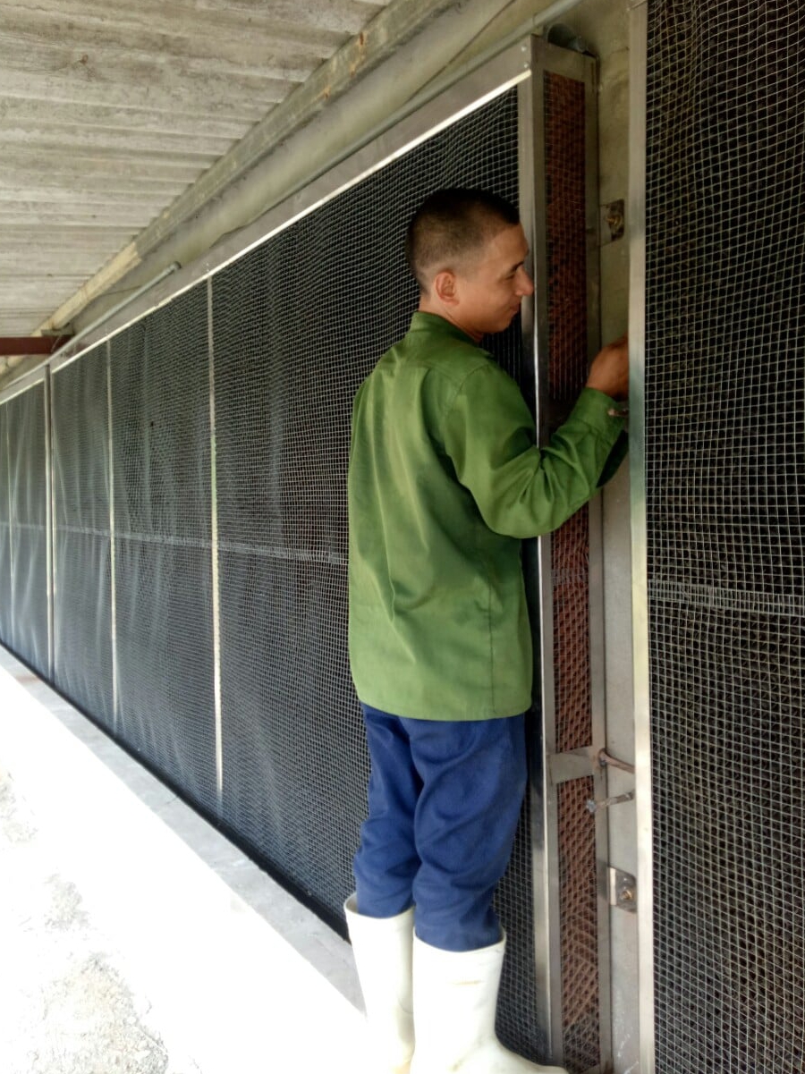 hướng dẫn cách lắp dàn mát cho trang trại, tấm làm mát cooling pad